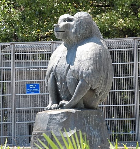 Památník paviána upomíná na podíl primát na vynálezech vakcín proti obrn,...