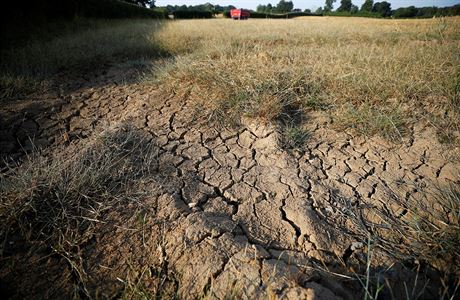 SRPEN: esko letos suovala rekordní sucha. eský hydrometeorologický ústav...