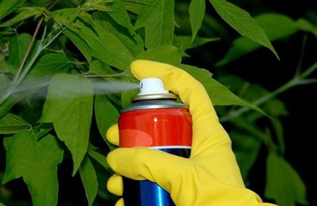 Pesticidový postík proti kdcm