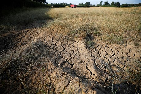 SRPEN: esko letos suovala rekordní sucha. eský hydrometeorologický ústav...