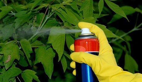 Pesticidový postřík proti škůdcům