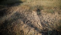Třetinu území Česka sužuje sucho. V dalších dnech se má situace zhoršovat