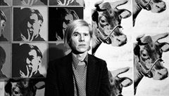 Andy Warhol v kvtnu roku 1971 na své retrospektivní výstav v Muzeu amerického...