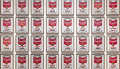 Andy Warhol se bhem 60. let stal nejvýraznjím umlcem své doby. Umlecky...