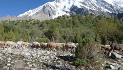 Holeek se chystá na výstup na horu Nanga Parbat.