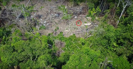 Záběry z dronu odhalily nový izolovaný kmen v Amazonii.