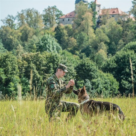 Psí veterán Athos si hraje s oetovatelem.