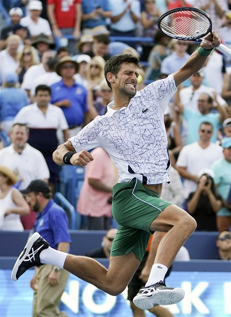 Novak Djokovič se raduje z výhry ve finále nad Rogerem Federerem.