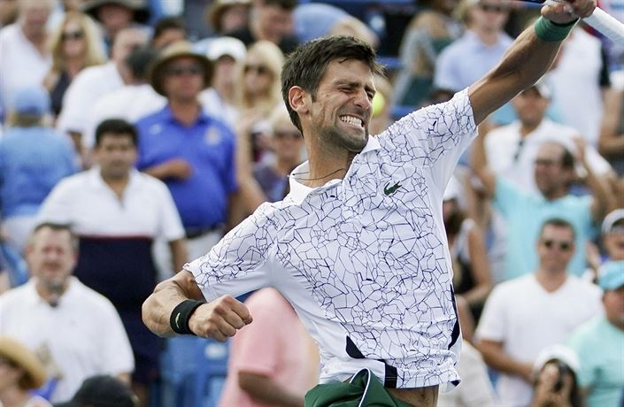 Novak Djokovi se raduje z výhry ve finále nad Rogerem Federerem.