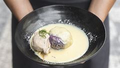 Tvarohové knedlíky s vanilkovou omákou a skoicovou zmrzlinou