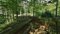 Pvodní ochrana ofínského pralesa se vztahovala jen na severní ást dnení...