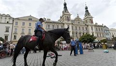 Stráníci jízdního oddlení pardubické Mstské policie pedvádli koský výcvik.