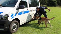 �ty�letý belgický ov�ák Fram na snímku se svým psovodem Kamilem Lackem.