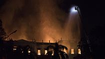 Požár v nejstarší vědecké instituci v Brazílii pravděpodobně zničil sbírku více...