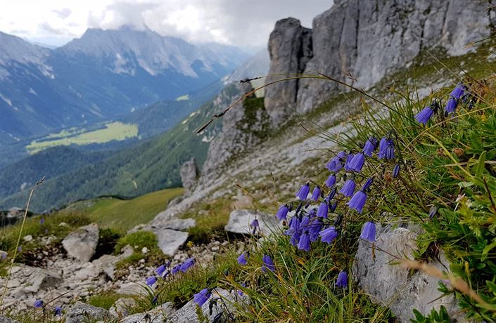 V Seefeldu jsme zaali pí túrou z parkovit v Gaistal (4 Eura poplatek za...