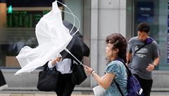 Japonský meteorologický ústav uvedl, e tajfun provázejí husté lijáky a vichr o...