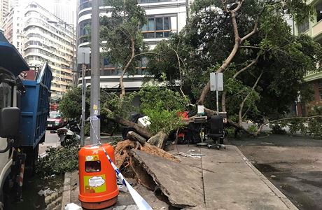 Vyvrácené stromy, odpadky na ulicích a stepy. Tak vypadal Hongkong po ádní...