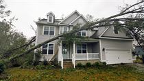 Strom vyvrcen huriknem Florence v Severn Karoln.