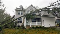 Strom vyvrácený hurikánem Florence v Severní Karolíně.