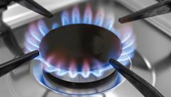 Dodavatelé plynu se rvou o zákazníky, RWE zlevní o deset procent
