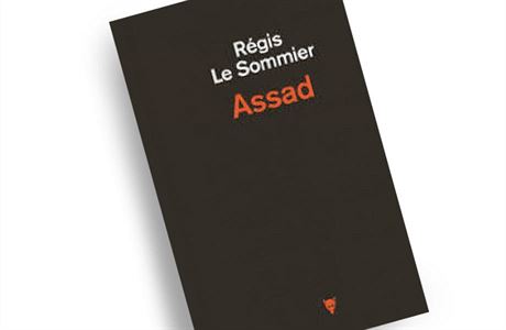 Régis Le Sommier, Assad.