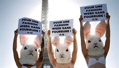 Aktivisté z organizace bojující za práva zvíat PETA demonstrují proti...