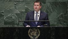 Anexe Krymu je poruen mezinrodnho prva, pipomnl Hamek v OSN