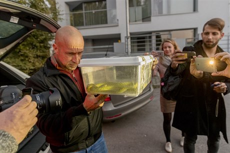 Hada zejm vylákalo z úkrytu teplé poasí.