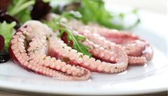 Mořské plody do salátu. Jak dlouho se vaří chobotnice a jak na kalamáry?
