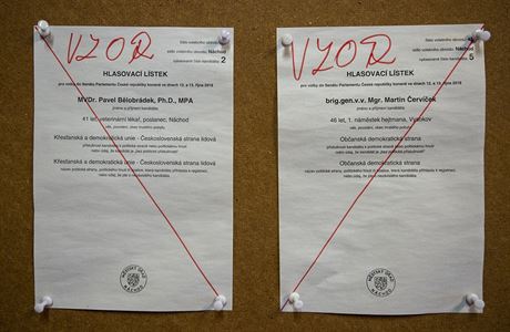 Vzory volebních lístk pro druhé kolo senátních voleb v Náchod.