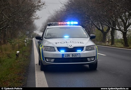Policejní auto (ilustraní foto)
