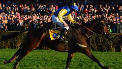 P�eká�kový dostih Velká pardubická steeplechase (6900 m, �estiletí a star�í...