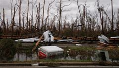 Po hurikánu Michael zstaly v Panam na Florid pouze popadané stromy a zniená...