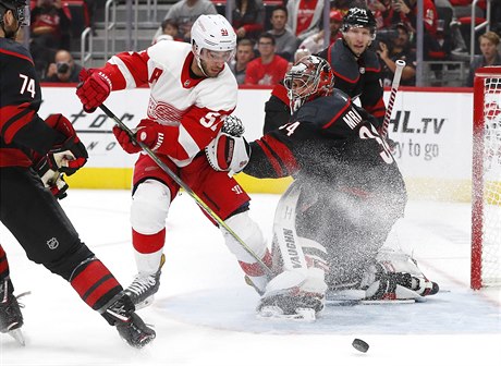 Branká Petr Mrázek pomohl v pondlním utkání NHL k výhe hokejist Caroliny...