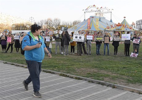 Nkolik desítek lidí demonstrovalo ped cirkusem King proti vyuívání zvíat v...