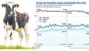 Grafika k cen� hov�z�ho masa.