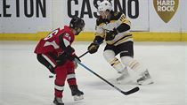 Útočník David Pastrňák si v úterním zápase NHL podruhé v sezoně připsal proti...