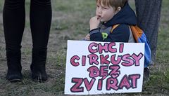Protestující dreli transparenty jako "Cirkusy bez zvíat" i "Zvíe není...