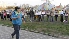 Několik desítek lidí demonstrovalo před cirkusem King proti využívání zvířat v... | na serveru Lidovky.cz | aktuální zprávy