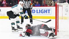 Mrzka v NHL pekonal Hertl, ale esk glman vychytal Carolin vhru