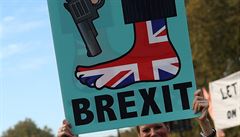 Britt poslanci odmtli monost tvrdho brexitu i severoirskou pojistku