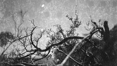 OBRAZEM: Moondust Kristýny Erbenové. Cesta do bezčasí australské buše