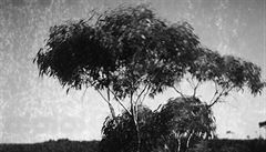 Kristýna Erbenová - Moondust.