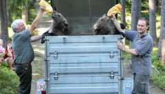 Václav Chaloupek pi natáení dtského poadu Méové na cestách v roce 2013.