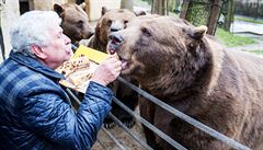 Medvěd není nebezpečný. Ovce mu voní, tak si nevychovaný zmetek hraje, říká senátor a ‚medvědář‘ Chaloupek