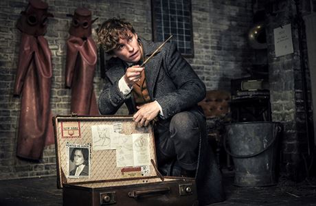 Eddie Redmayne ve filmu Fantastick zvata: Grindewaldovy zloiny.