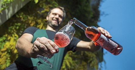 Rový Modrý Portugal je i letos jedním z vín, která uvedou vinai do prodeje...