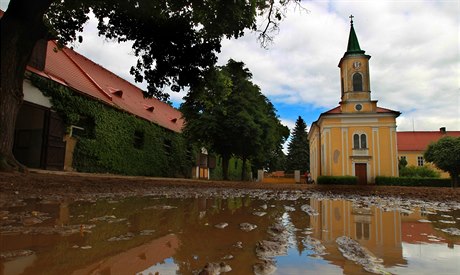 Dva obvinní v kauze kladrubského hebína jdou do vazby.