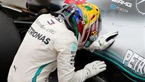 Lewis Hamilton oslavuje vtzstv ve Velk cen Brazlie.