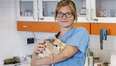 Móda malých domácích mazlíčků se prosazuje stále víc, říká veterinářka